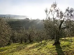 Minghetti Lamporecchio
